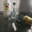 duckymomostreams