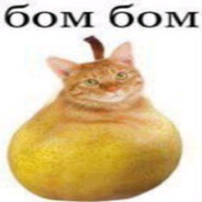 бом бом