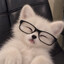 {name}'s avatar