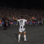 Zaza``