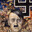 crosstex avatar