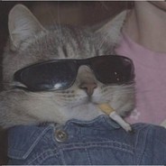 ✪ K0T1Kje