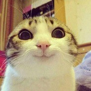You mad?