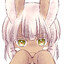 ❤❤ I LOVE NANACHI ❤❤