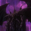 КREDITOR PENISA
