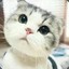 旧人