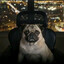 Avatar of player Skaylz