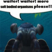 Weird Shrimp