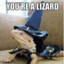 Lizard468