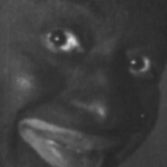 _Brzoza