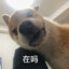 不打折的果盘
