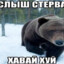 ВАЧЕ СУХУМСКИЙ
