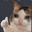 Gatikos