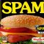 SpaM-__