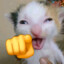 MangllE's avatar