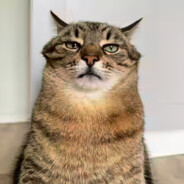 KoKo's avatar