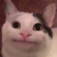 mochibye