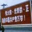 暴打甲壳虫