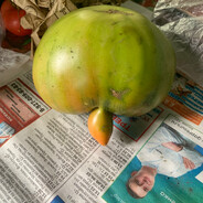 ㊕ - steam id 76561199571051724