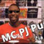 pj purvinis ***********