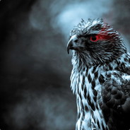 falcon_of_skys