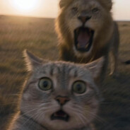 路边的一条瑞克