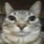 Yung Gato