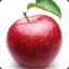 AppleSaucer