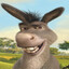 Donkey