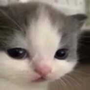 ΘΛΞΗΝϋ  ΠΞΗИς Steam avatar