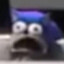 CoRNiFeR
