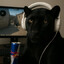 RedBull PANTHERA