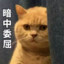 橘猫