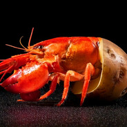 potatobster