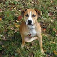 maxiEE O_+ robot mod off