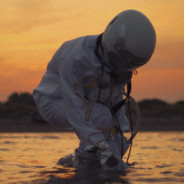 猪是的看来过倒