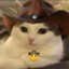 Meowdy Pardner