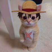 onsereee avatar