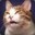 purrranormal cativity