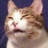 purrranormal cativity