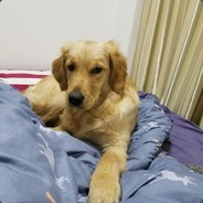 乐堡是个小妖精