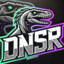 DnsR™