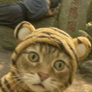 二手素食爱好者