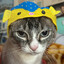 KittyCatProductions