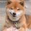 上杉绘梨衣