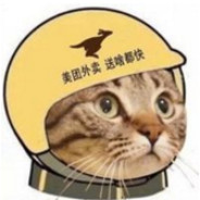 Bilibili-胖胖的大月半