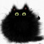 /BLACK_CAT\