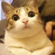 白雪公主和七个郭敬明