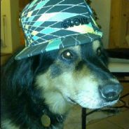 Frohannes - steam id 76561197971018728