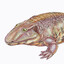 Avatar of player Zygosaurus